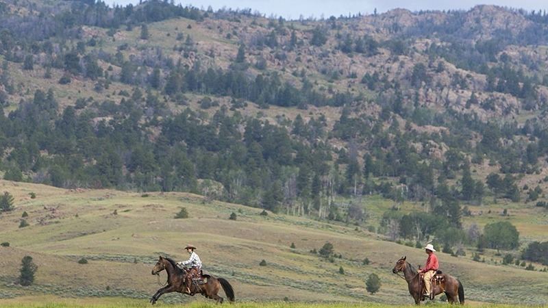 Kevin Meyer open range