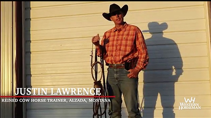 Justin Lawrence hackamore