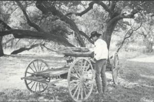 Tommy Lee Jones with Buckboard