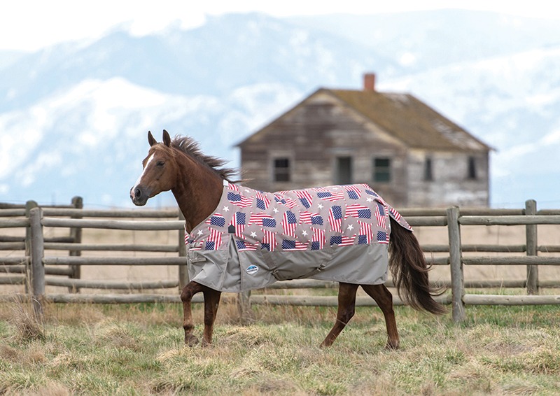 WeatherBeeta Flag horse blanket