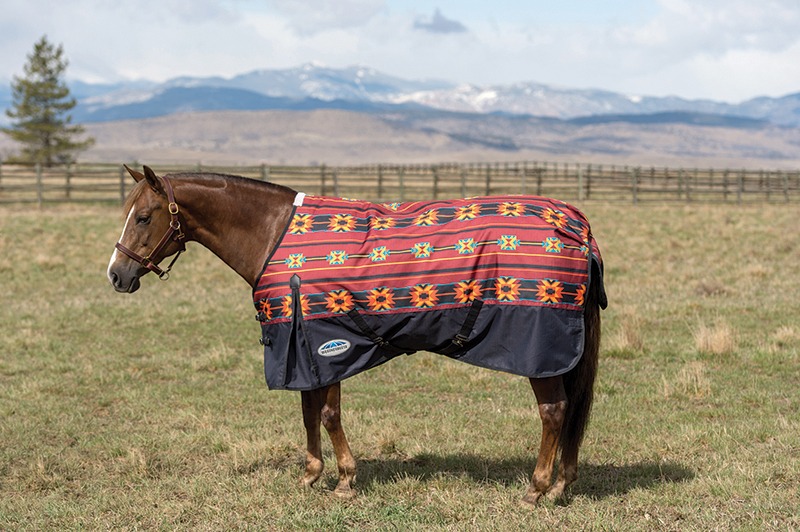WeatherBeeta Navajo horse blanket