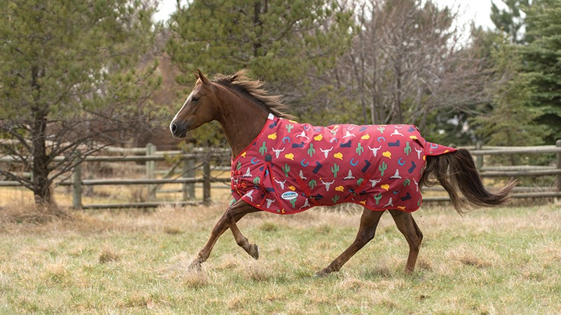 WeatherBeeta Western horse blanket