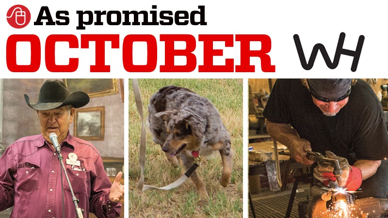 As Promised October