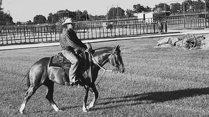 cowboy horse walk Kelli Neubert