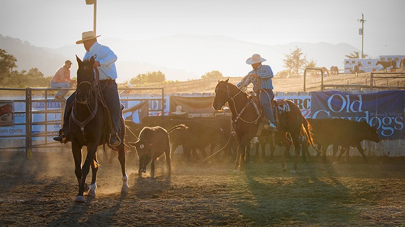 Brannaman pro-am roping