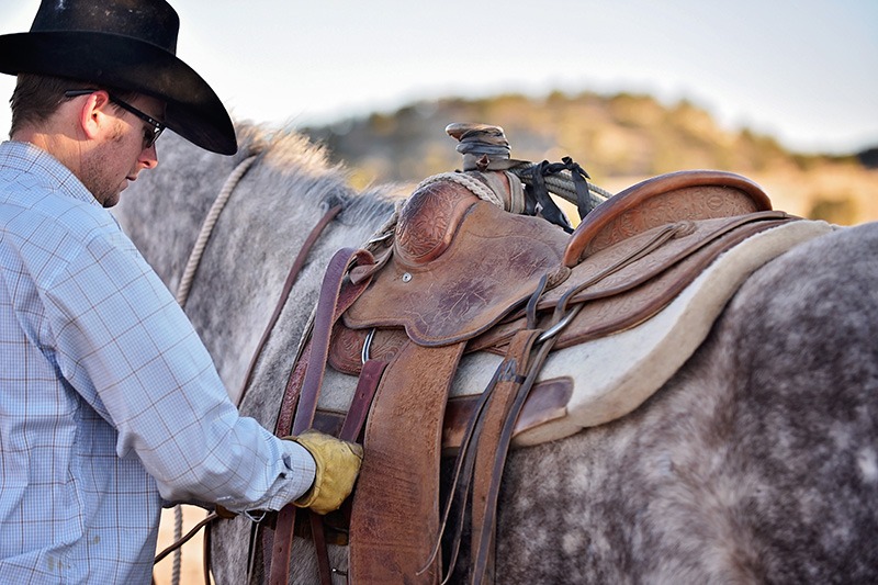 5 Star saddle pads