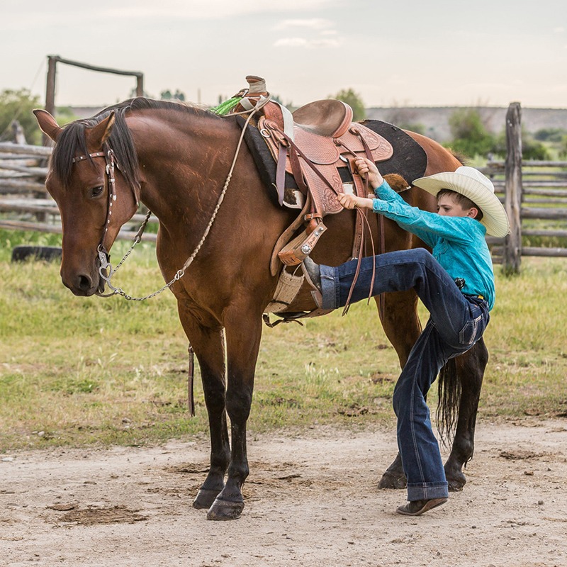 Capriola horse reins
