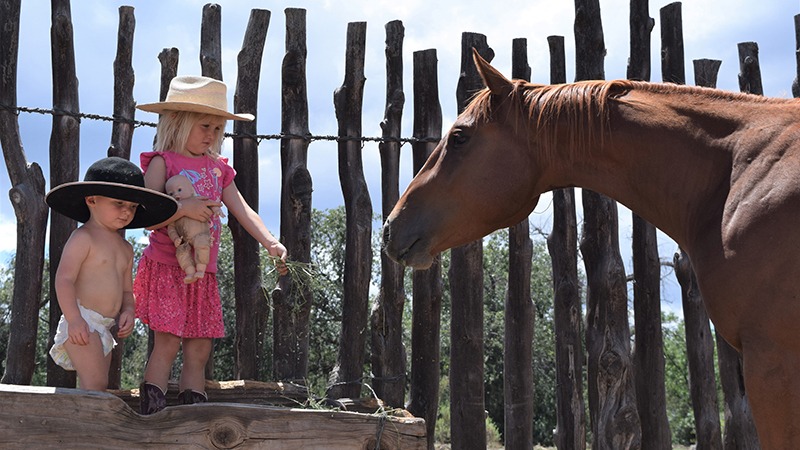 brother and sister with horse