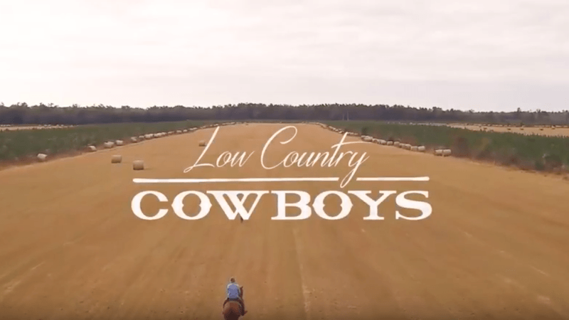 Low Country Cowboys logo