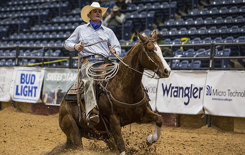 reining horse sliding stop