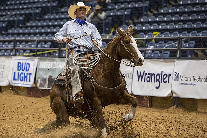 reining horse sliding stop
