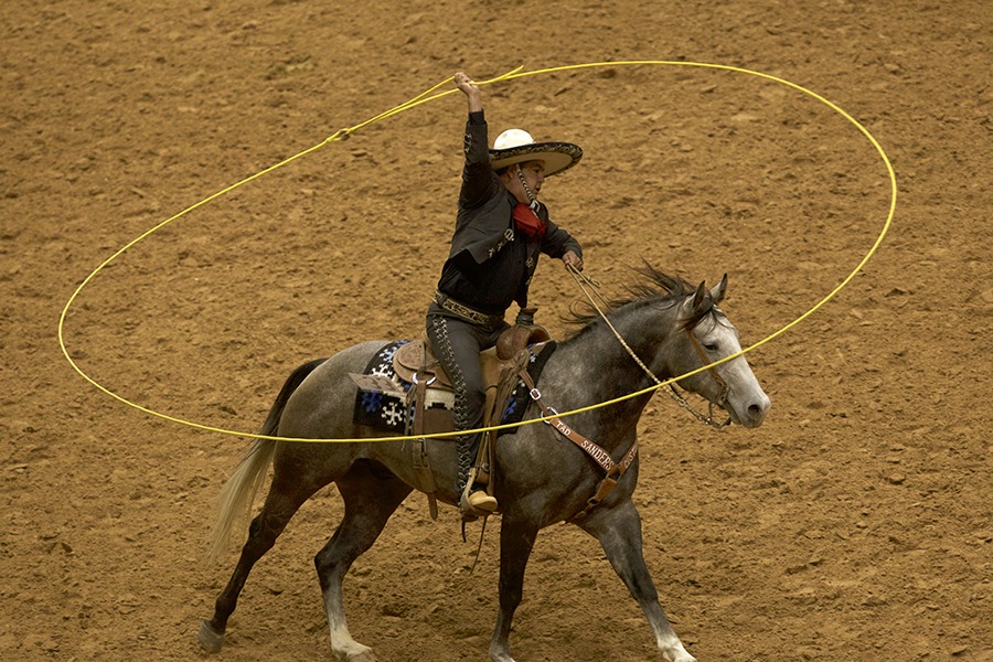 trick roper riding horse with lasso