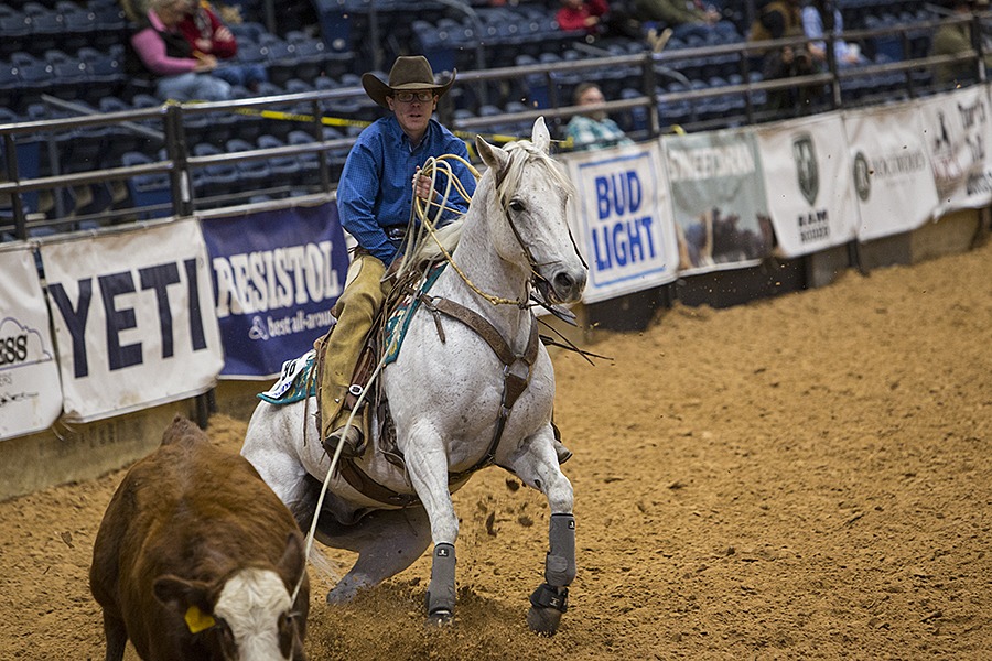 rider Tripp Townsend ropes steer