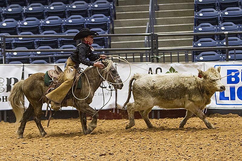 cowboy kid roping steer on pony