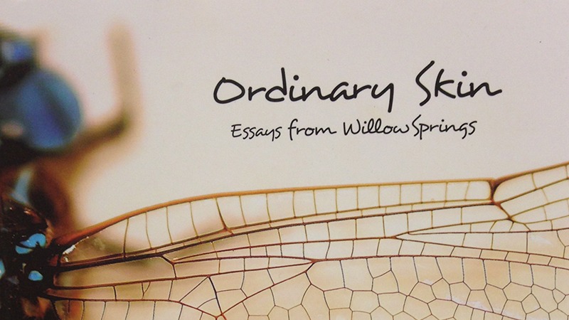 ordinary skin book review cover