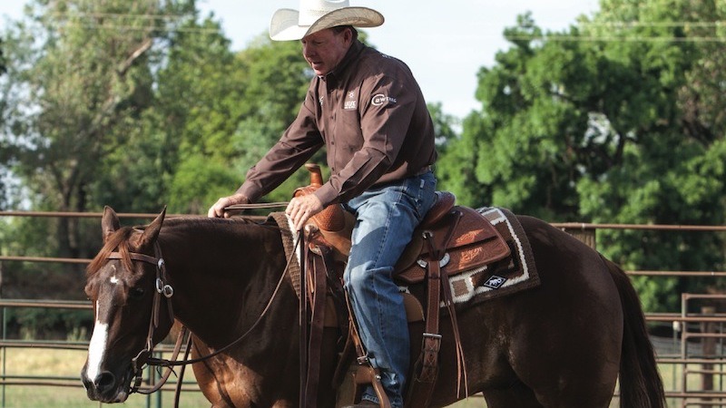 Ron Emmons walking horse in a circle