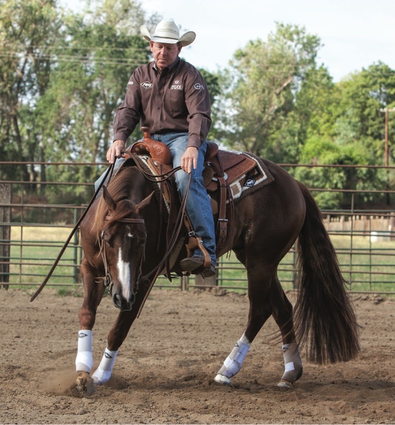 Ron Emmons getting horse to step across