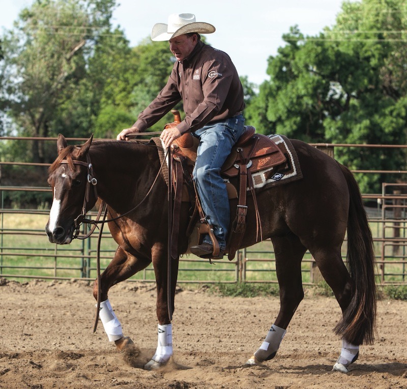 Ron Emmons walking horse in a circle