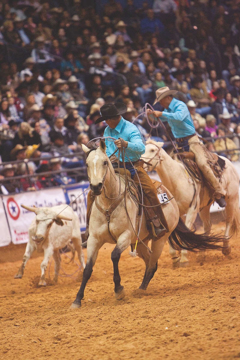Ranch rodeo team roping a stray