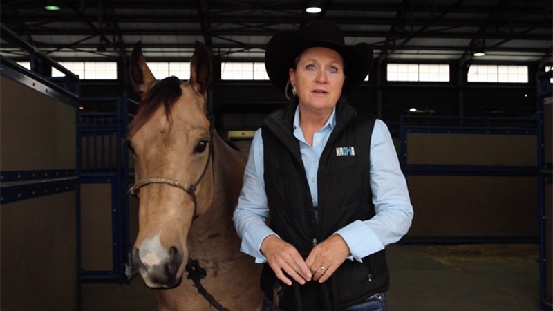 Jecca Ostrander talking about Box O Quarter Horses