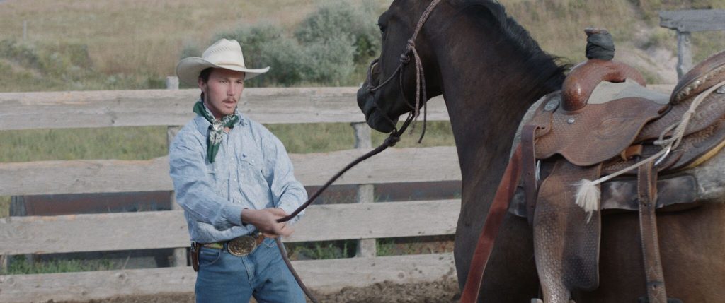 horse sets back and cowboy hangs on
