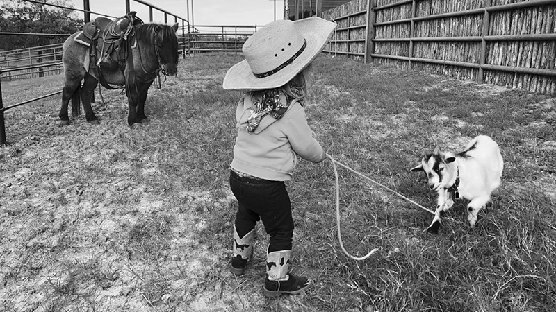 kid tying up a goat with pony
