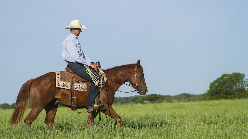 Ben Baldus riding horse through green pasture