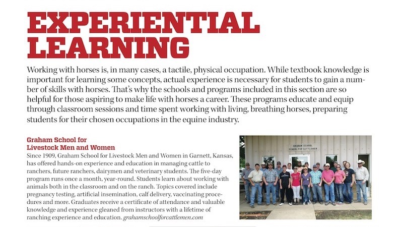snippet from equine-related education page