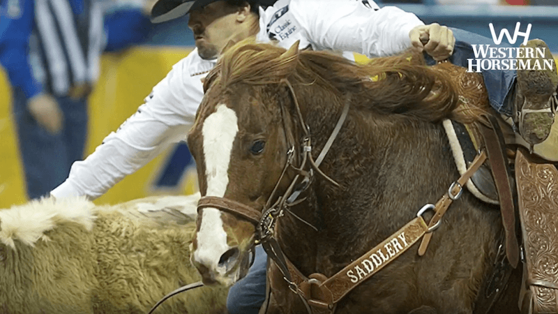 Tyler Pearson jumping off AQHA horse of the year Scooter at the NFR