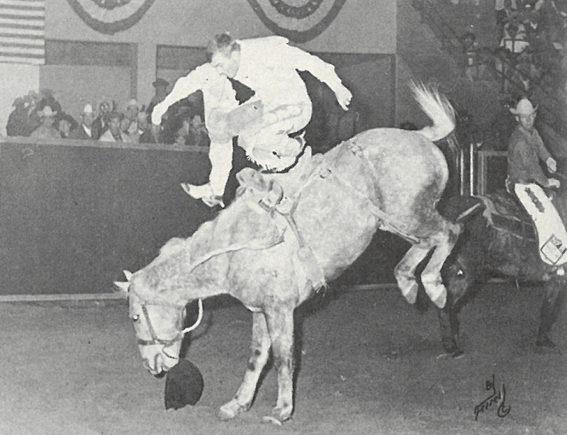 Larry Mahan stepping off of bucking horse at 1967 National Finals Rodeo
