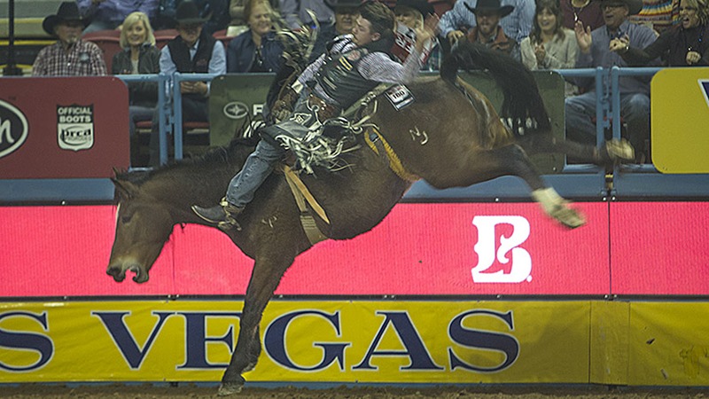 bucking horse night crawler being ridden at NFR