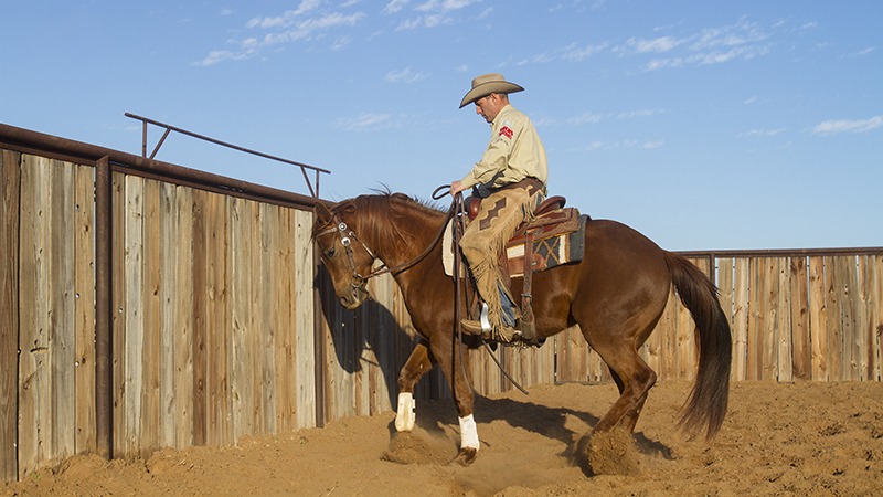 Russell Dilday sidepassing on horse