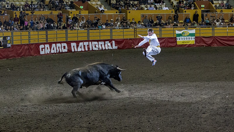 Manu Lataste jumps bull