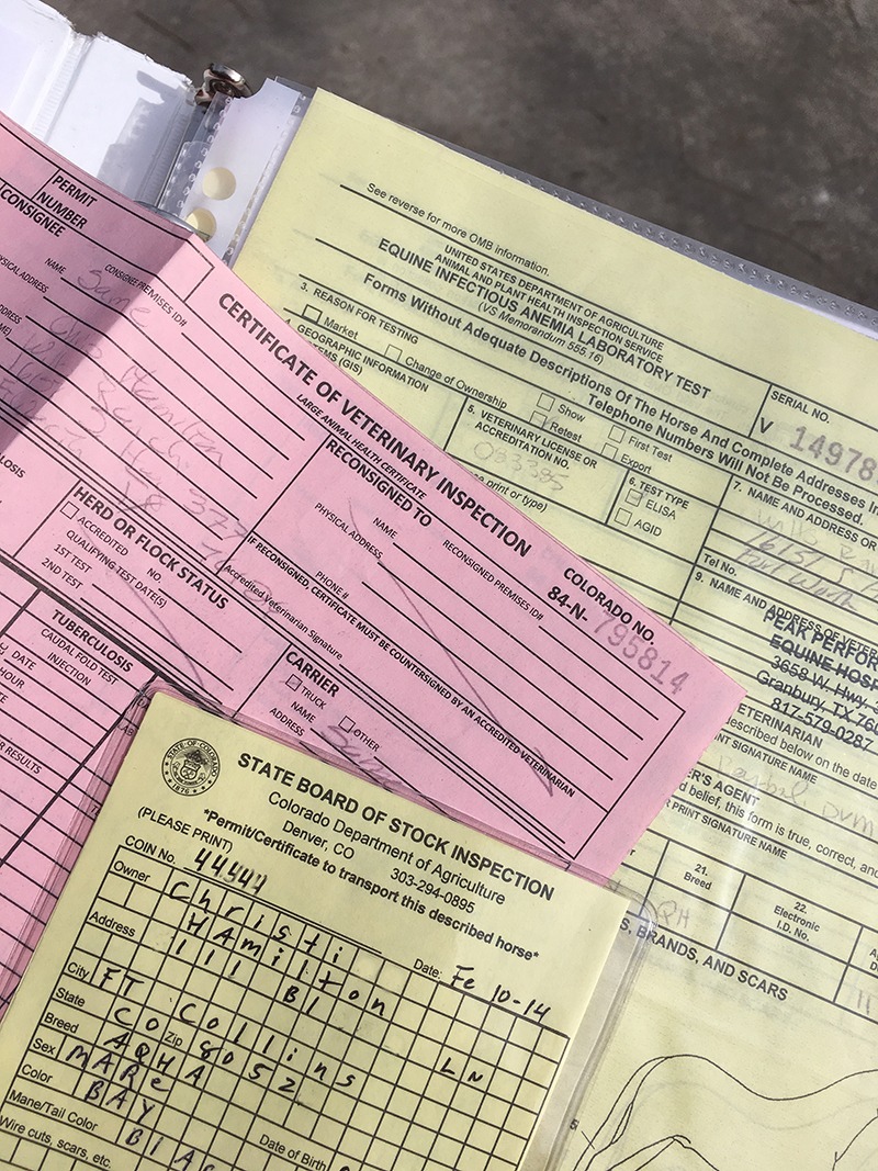 Stack of Horse health papers for interstate U.S. travel to include negative Coggins test results, health certificate and a brand inspection