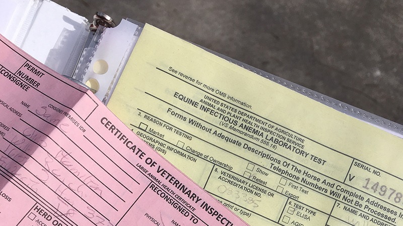 Horse health papers for interstate U.S. travel can include negative Coggins test results, health certificate and a brand inspection, depending on the state