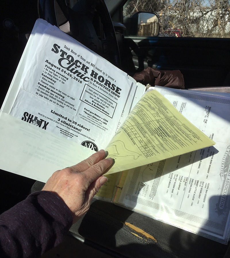 A three-ring binder that keeps horse health papers organized on the road
