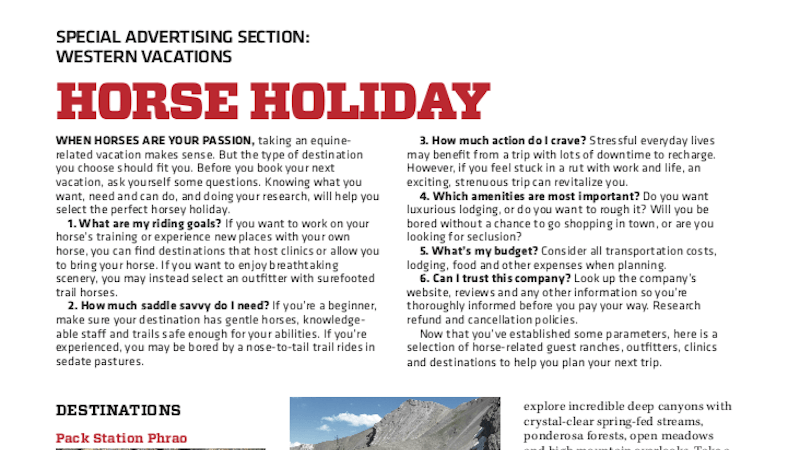 Horse Holiday WH SAS