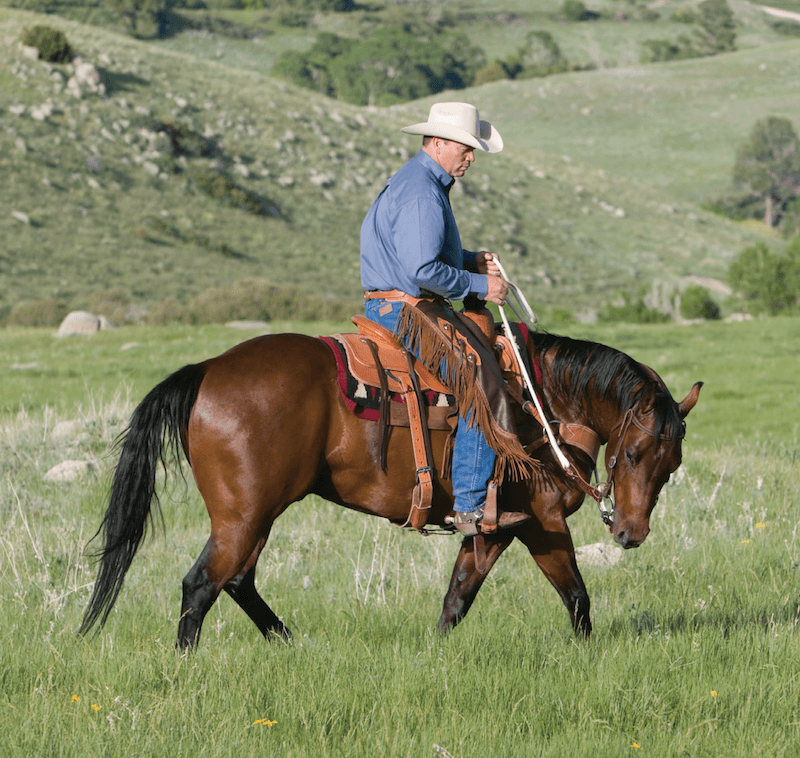 Ken McNabb riding a horse into a circle