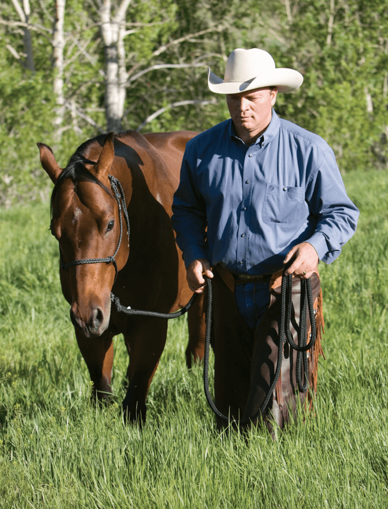 Ken McNabb leading a horse with a halter.