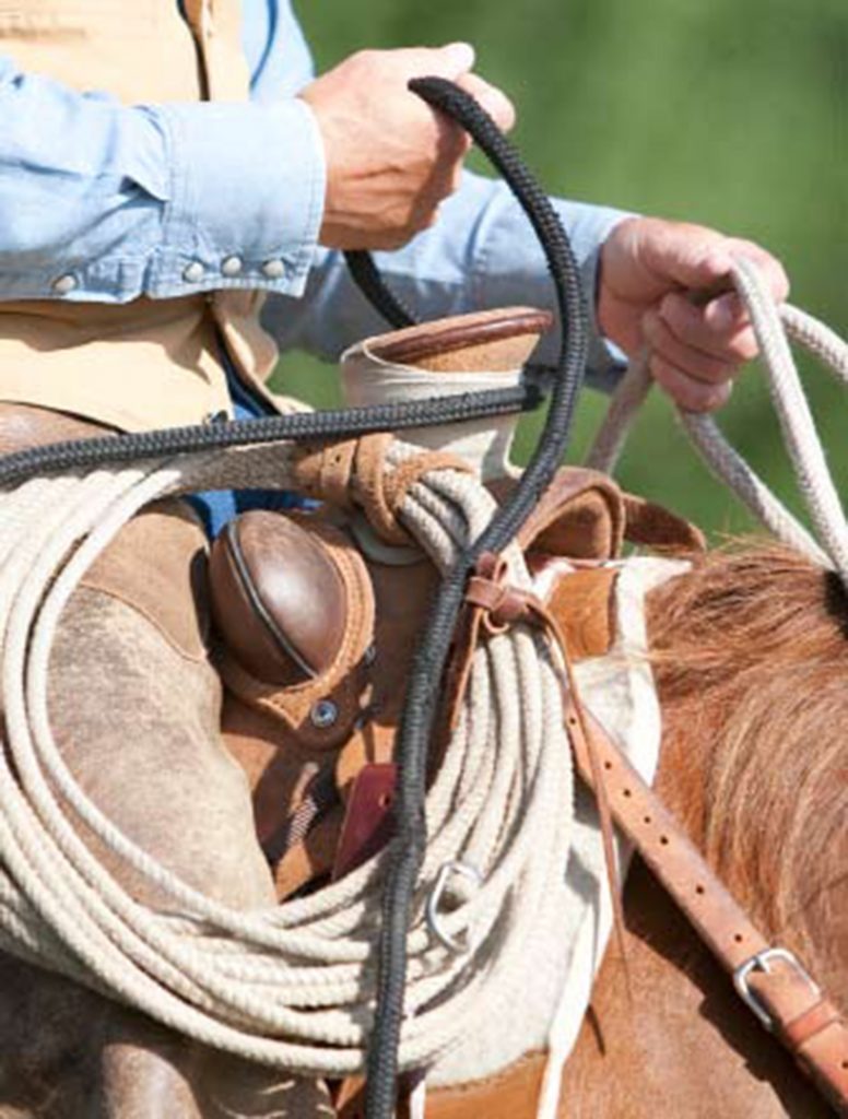 rope dallied around saddle horn