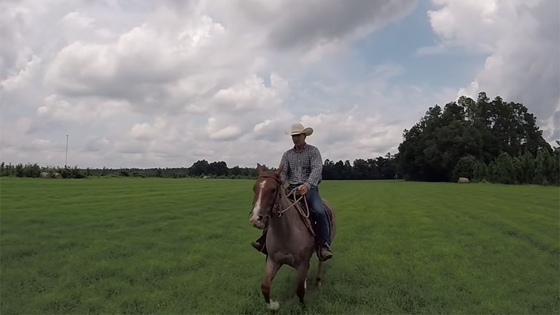 Low Country Cowboys riding horse in pasture