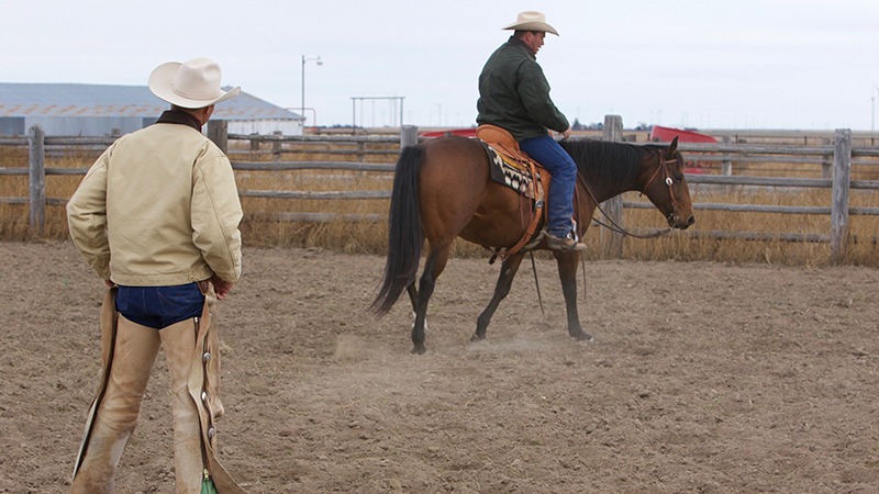 Ken McNabb riding horse in clinic