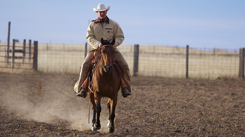 Roy Gillham riding horse in clinic