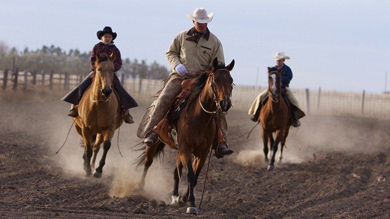 Roy Gillham riding horses with sons at clinci