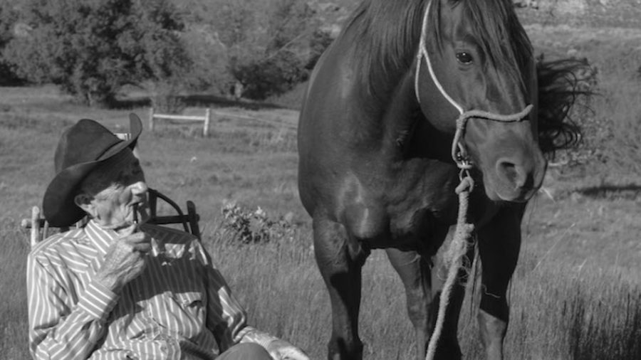 Riding thousands of miles while cowboying and starting colts, prepared Bill Hackett for a career as an equine therapist.