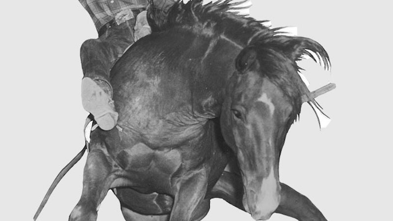 Casey Tibbs spurring a bareback horse