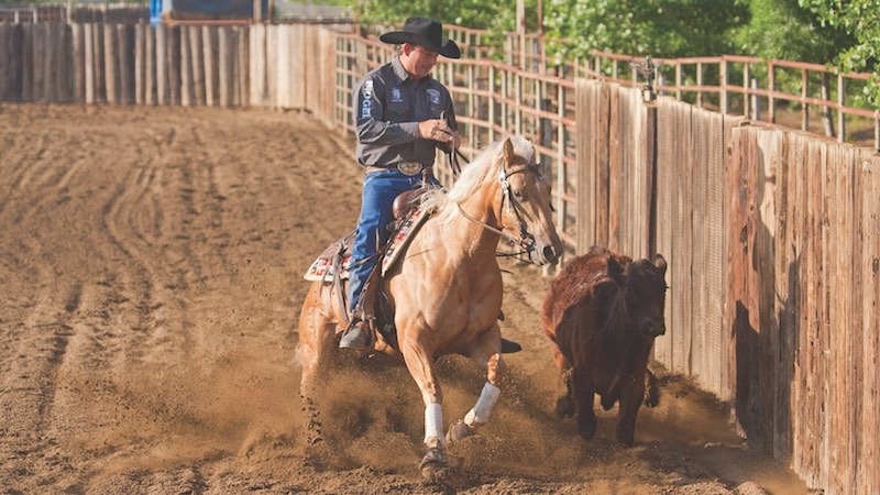 jake gorrell riding on horse going down the fence with cow