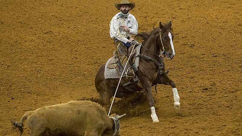 Matt Koch stopping a steer during the World's Greatest Horseman