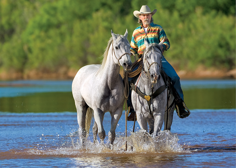 buck taylor rides horses across river