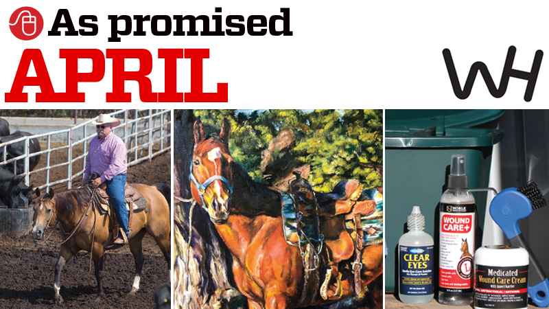 promised content in the April issue